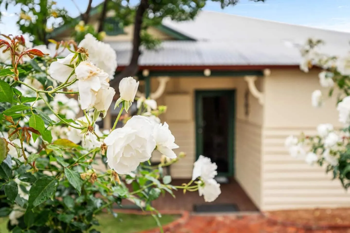 59 Balmoral - Classic Australian Charm Perth Avustralya